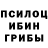 Псилоцибиновые грибы Magic Shrooms Veterna