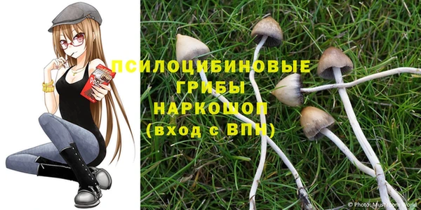 твердый Абинск