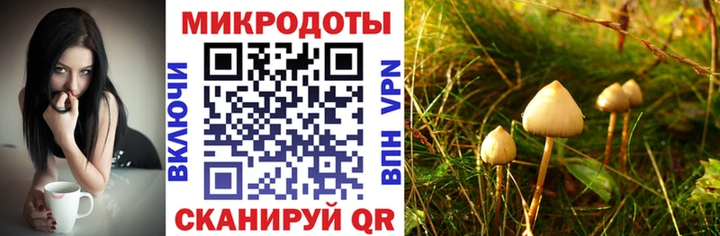 магазин  наркотиков  маркетплейс как зайти  Псилоцибиновые грибы MAGIC MUSHROOMS  Новая Усмань 